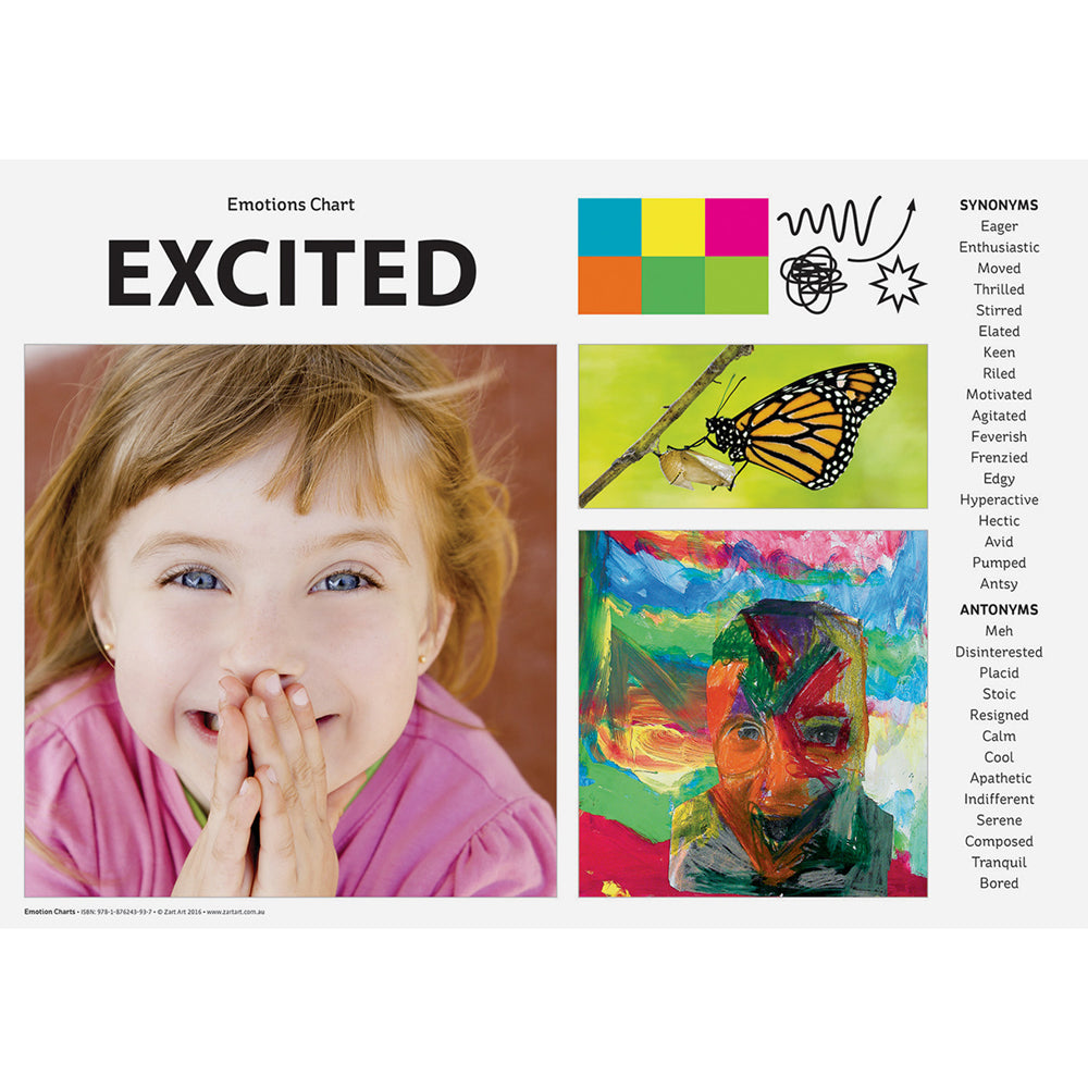 Emotions Art and Language Chart Pack A3