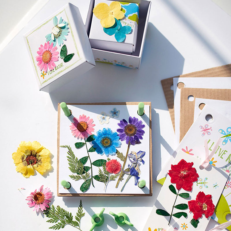 4M Green Science Pressed Flower Art Kit