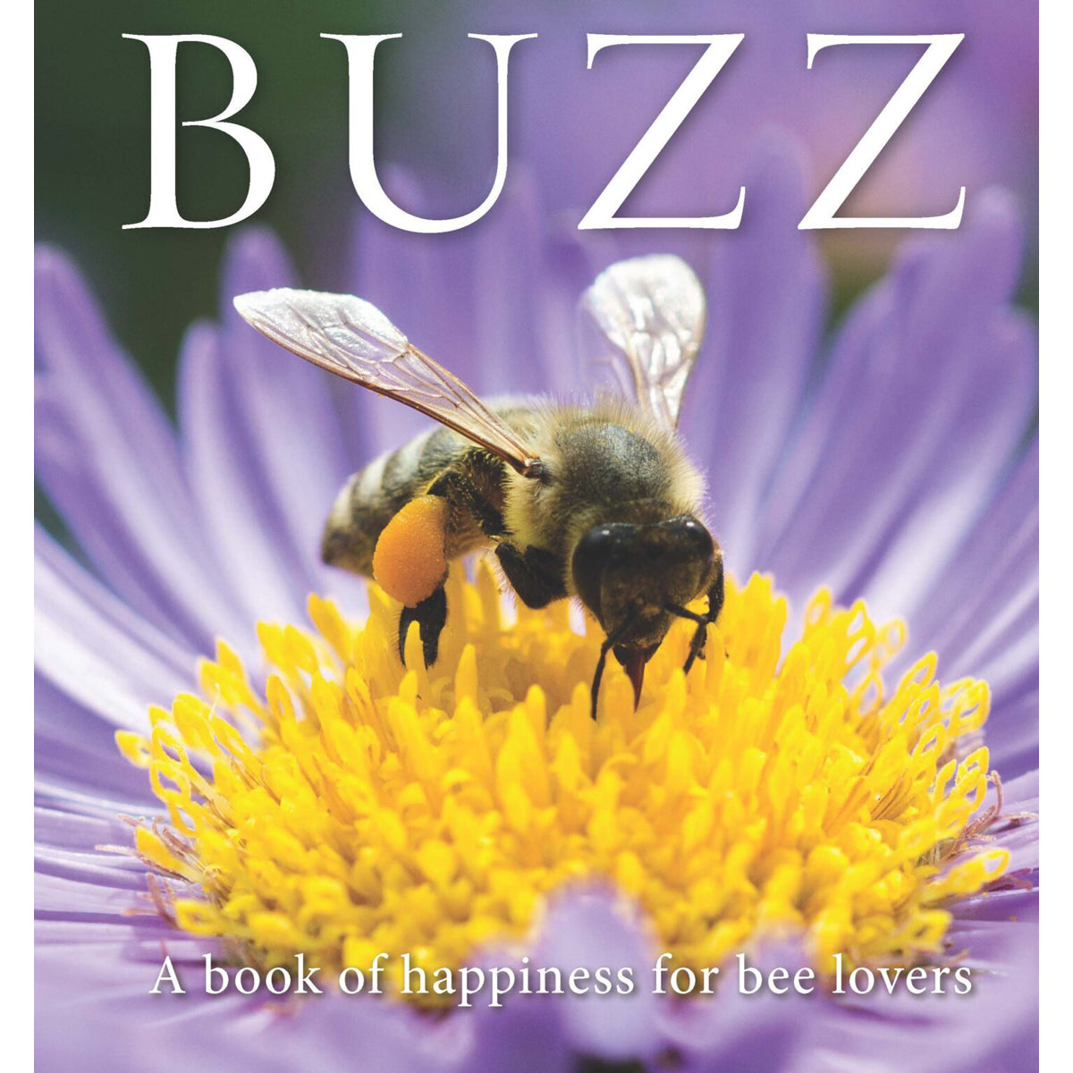 Buzz: A Book of Happiness for Bee Lovers
