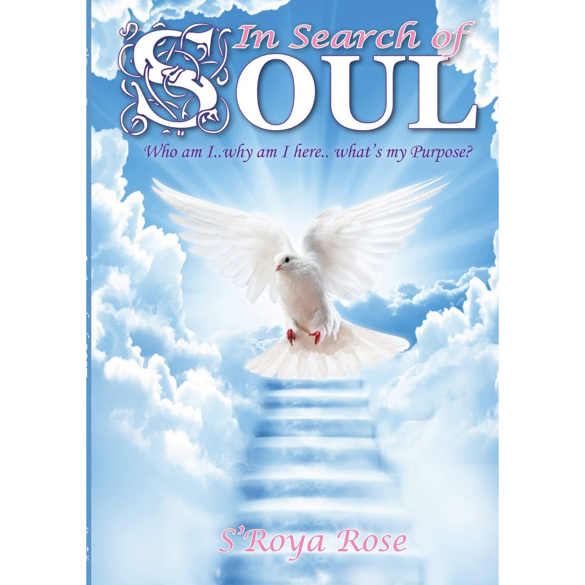 In Search of Soul: Spiritual Memoir