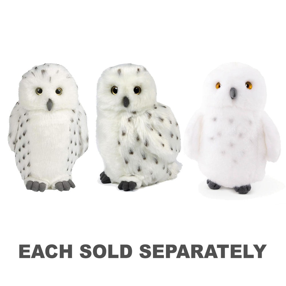 Living Nature Snowy Owl