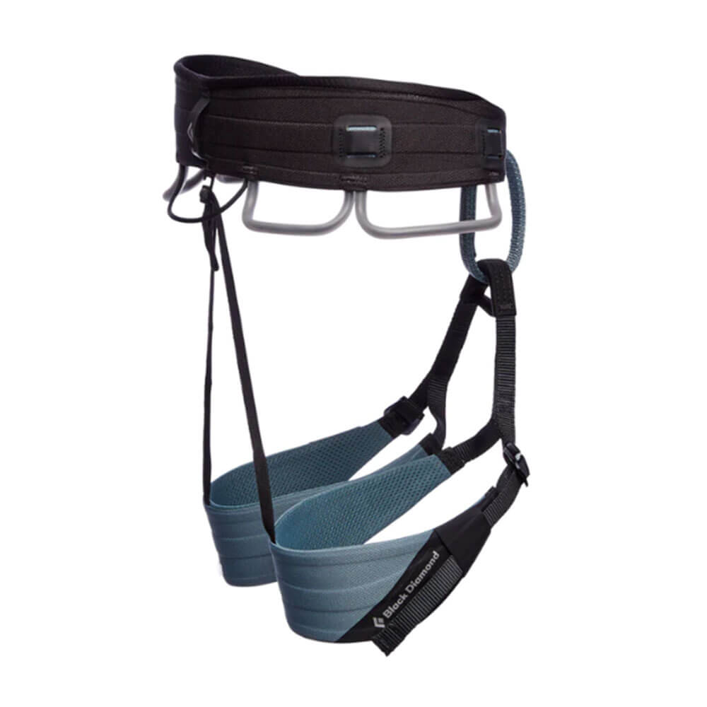 男性の技術者ハーネス(青)