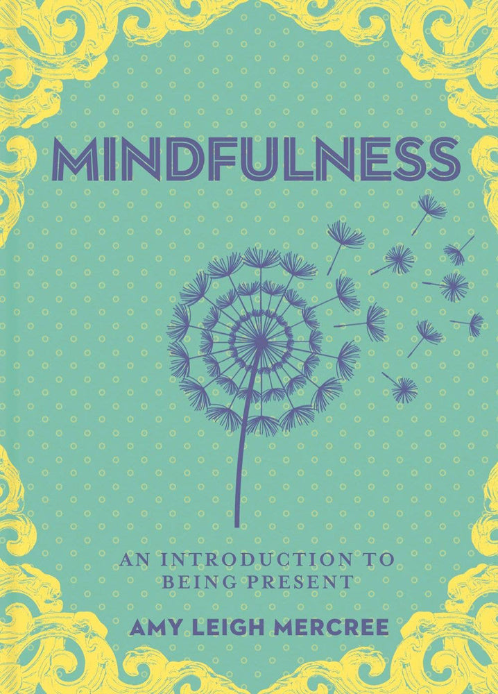 Little Bit of Mindfulness Book